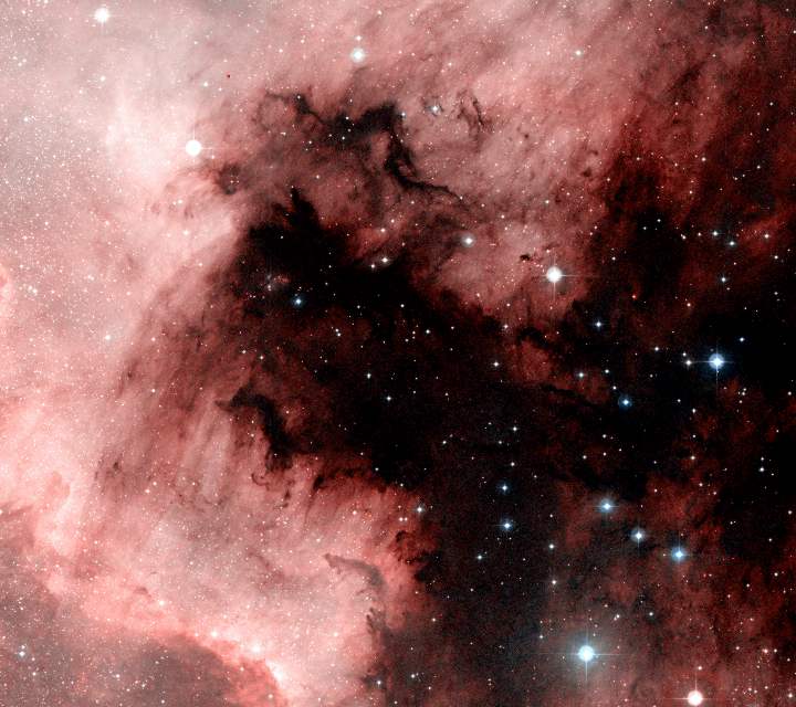 NGC7000 - The North America Nebula