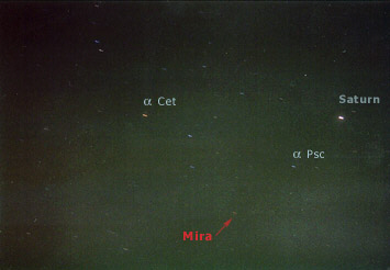 Mira Snimio A. Ilicic