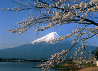 fuji.jpg (397120 bytes)