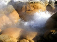 Yellowstone_bubbling_pool.jpg (125680 bytes)