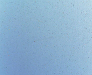 Pojmneg1.jpg (101173 bytes)
