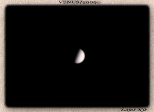 VENUS.jpg (31535 bytes)